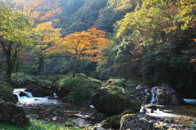 🏞️ 아라마타 계곡 (아라마타쿄) 이미지 2